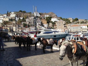 PEL_JUB_12_073_Elle Langer